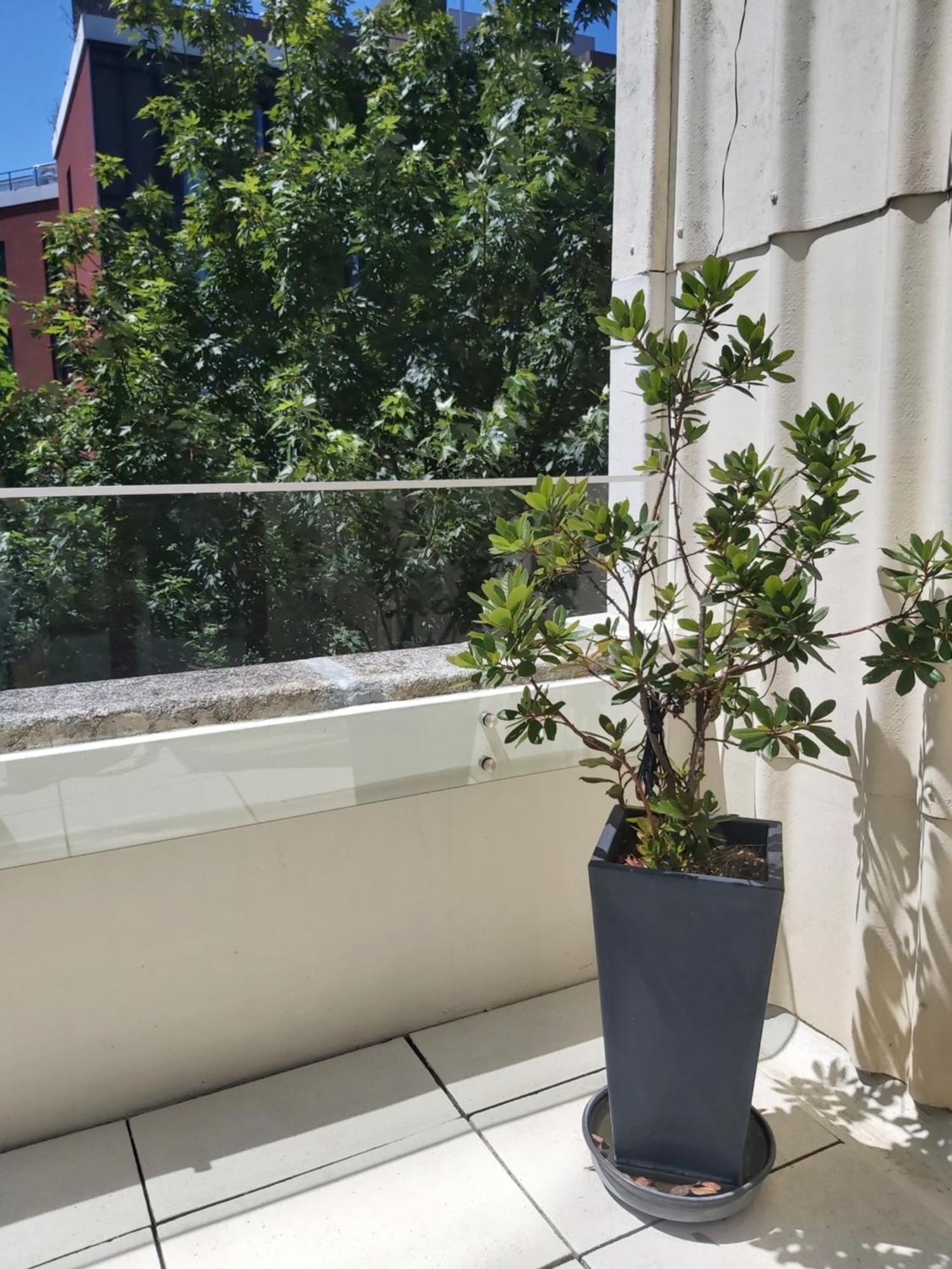 Porto Terrace Apartment Εξωτερικό φωτογραφία